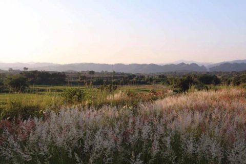 Land in Mae Chan, Thailand 5520 sq.m. № 156918 - photo 6