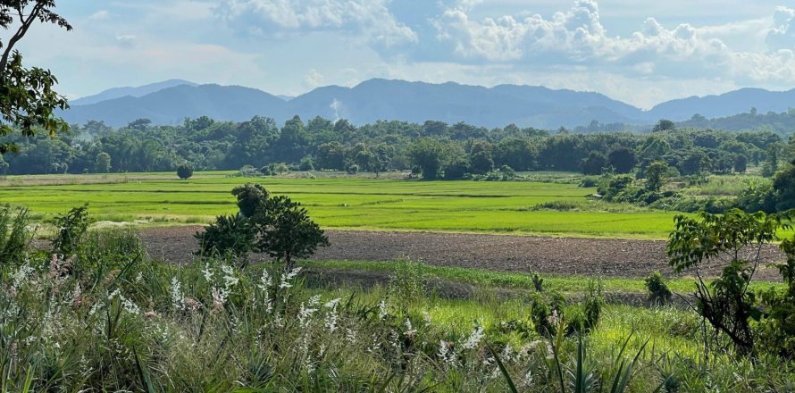 Land in Mae Chan, Thailand 5520 sq.m. № 156918