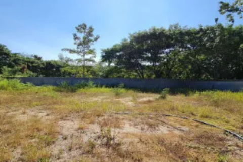 Land in Hang Dong, Thailand 1272 sq.m. № 152854 - photo 3