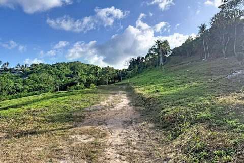 Земельный участок в Самуи, Таиланд  № 162880 - фото 3