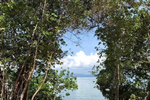 Terrain à Phang Nga, Thaïlande 71000 m2 № 158051 - photo 3