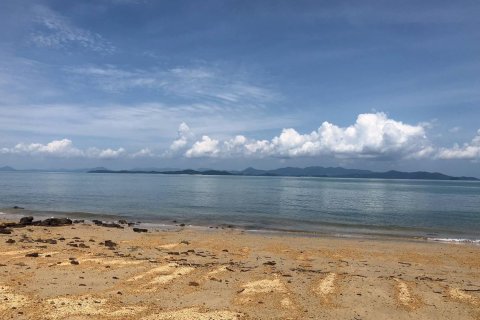 Terrain à Phang Nga, Thaïlande 71000 m2 № 158051 - photo 4