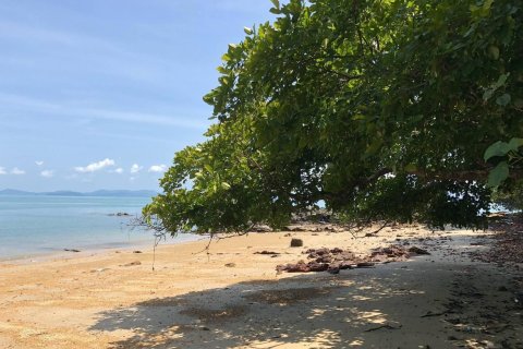 Terrain à Phang Nga, Thaïlande 71000 m2 № 158051 - photo 2