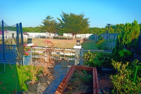 Maison à Buriram, Thaïlande 4 chambres № 148278 - photo 12