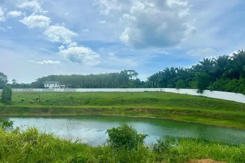 Terrain à Phang Nga, Thaïlande 5518 m2 № 171077 - photo 2
