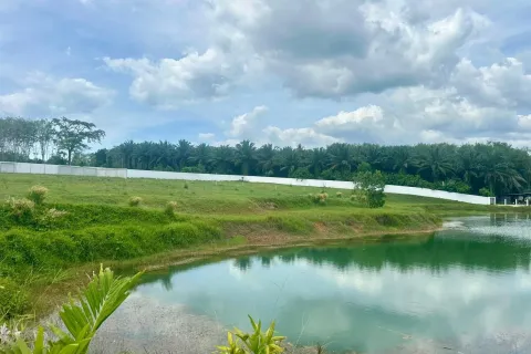 Terrain à Phang Nga, Thaïlande 5518 m2 № 171077