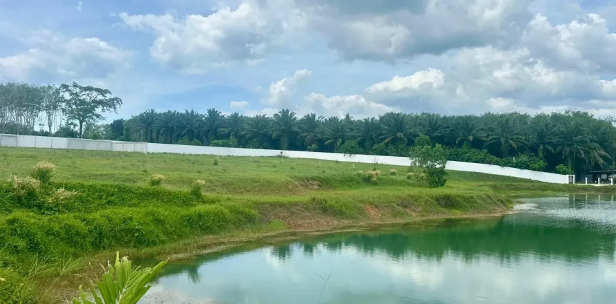 Terrain à Phang Nga, Thaïlande 5518 m2 № 171077