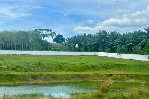 Terrain à Phang Nga, Thaïlande 5518 m2 № 171077 - photo 7