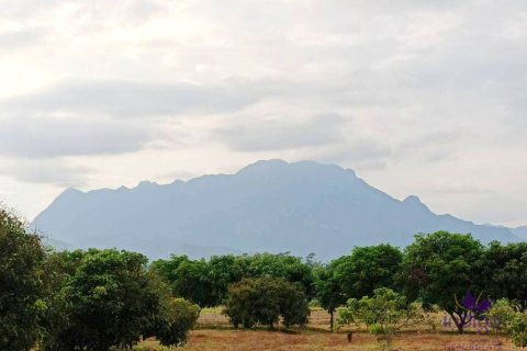 Terrain à Chiang Mai, Thaïlande № 162554 - photo 7