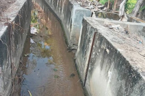 Terrain à Chiang Mai, Thaïlande № 162554 - photo 11