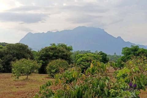 Terrain à Chiang Mai, Thaïlande № 162554 - photo 3