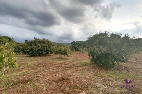 Terrain à Chiang Mai, Thaïlande № 162554 - photo 6