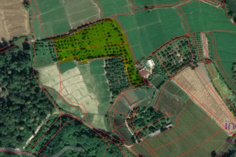 Terrain à Chiang Mai, Thaïlande № 162554 - photo 9