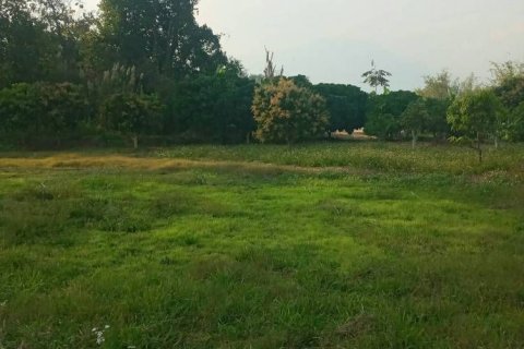 Terrain à Chiang Mai, Thaïlande № 162554 - photo 15