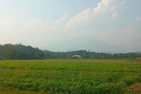 Terrain à Chiang Mai, Thaïlande № 162554 - photo 16