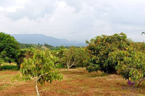 Terrain à Chiang Mai, Thaïlande № 162554 - photo 5