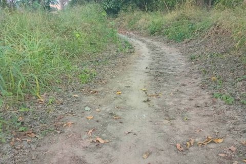 Terrain à Chiang Mai, Thaïlande № 162554 - photo 12