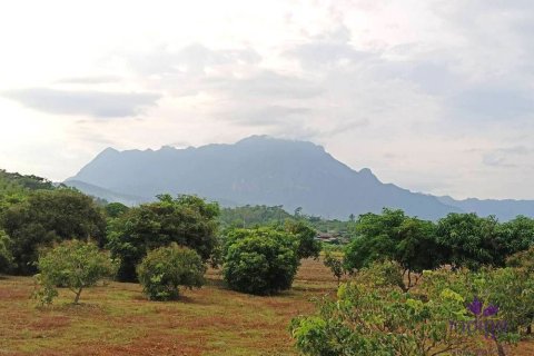 Terrain à Chiang Mai, Thaïlande № 162554 - photo 2
