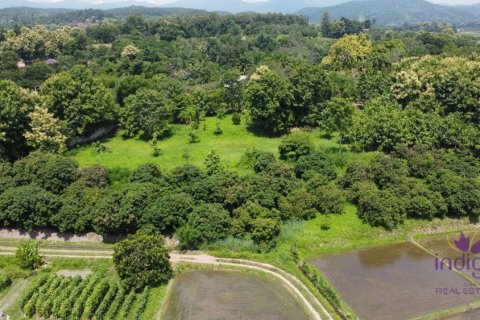 Land in Chiang Mai, Thailand № 162558