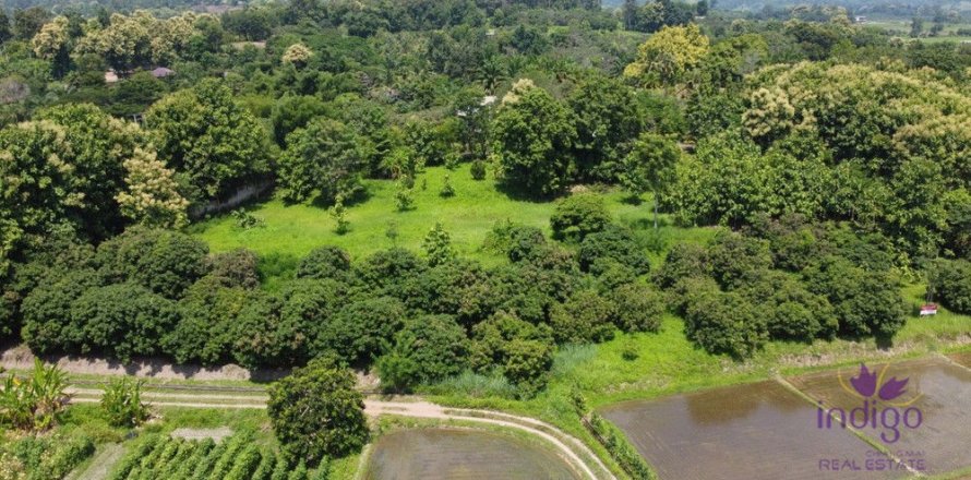 Terrain à Chiang Mai, Thaïlande № 162558