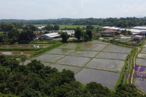 Terrain à Chiang Mai, Thaïlande № 162558 - photo 5