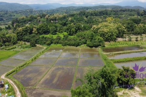 Terrain à Chiang Mai, Thaïlande № 162558 - photo 6