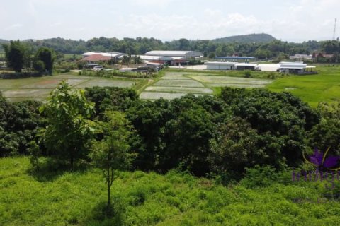 Terrain à Chiang Mai, Thaïlande № 162558 - photo 3