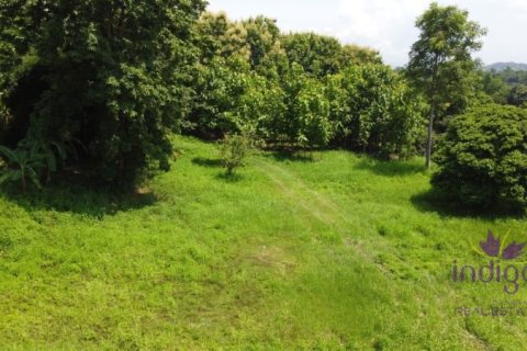 Terrain à Chiang Mai, Thaïlande № 162558 - photo 4