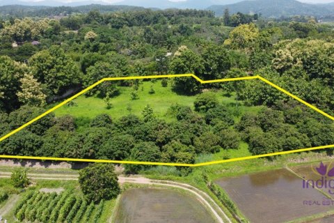 Terrain à Chiang Mai, Thaïlande № 162558 - photo 7