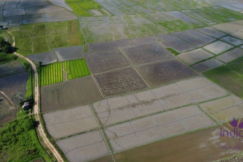 Земельный участок в Чиангмае, Таиланд № 162557 - фото 4