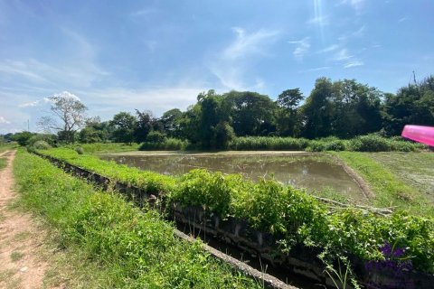 Земельный участок в Чиангмае, Таиланд № 162557 - фото 8