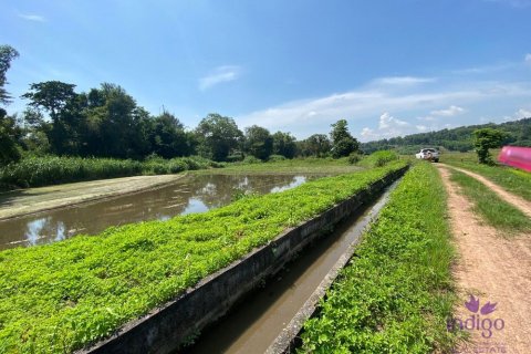 Земельный участок в Чиангмае, Таиланд № 162557 - фото 9