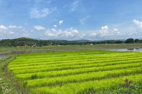 Земельный участок в Чиангмае, Таиланд № 162557 - фото 5