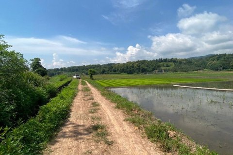 Земельный участок в Чиангмае, Таиланд № 162557 - фото 10