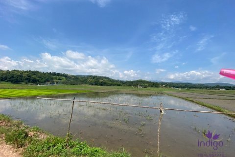 Земельный участок в Чиангмае, Таиланд № 162557 - фото 7