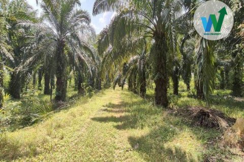 Земельный участок в Пхаттхалунге, Таиланд 10000м2  № 164316 - фото 3