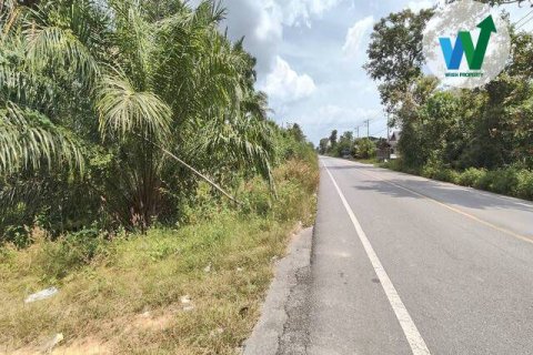 Земельный участок в Пхаттхалунге, Таиланд 10000м2  № 164316 - фото 6