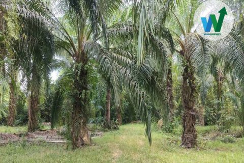 Земельный участок в Пхаттхалунге, Таиланд 10000м2  № 164316 - фото 7