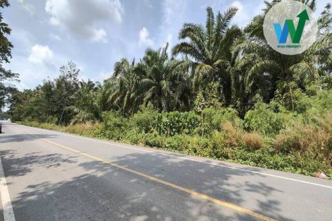 Земельный участок в Пхаттхалунге, Таиланд 10000м2  № 164316 - фото 2