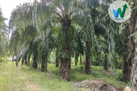 Земельный участок в Пхаттхалунге, Таиланд 10000м2  № 164316 - фото 8