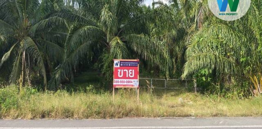 Земельный участок в Пхаттхалунге, Таиланд 10000м2  № 164316