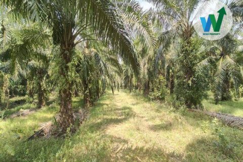 Земельный участок в Пхаттхалунге, Таиланд 10000м2  № 164316 - фото 5