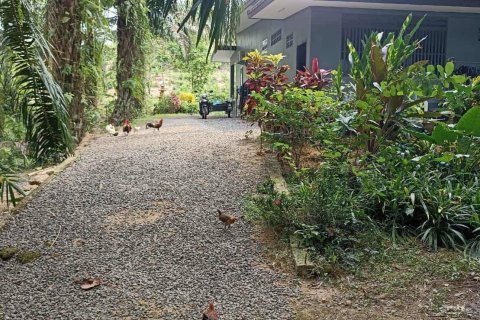 Земельный участок в Пхангнге, Таиланд 35040м2  № 164313 - фото 4