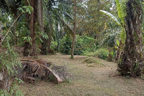 Земельный участок в Пхангнге, Таиланд 35040м2  № 164313 - фото 6