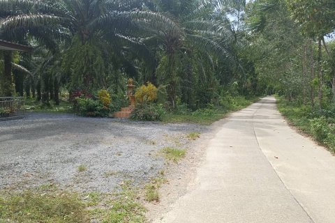 Земельный участок в Пхангнге, Таиланд 35040м2  № 164313 - фото 2