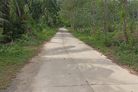 Земельный участок в Пхангнге, Таиланд 35040м2  № 164313 - фото 3