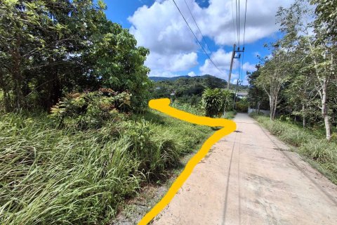 Земельный участок в Пхукете, Таиланд 1600м2 № 156887 - фото 5