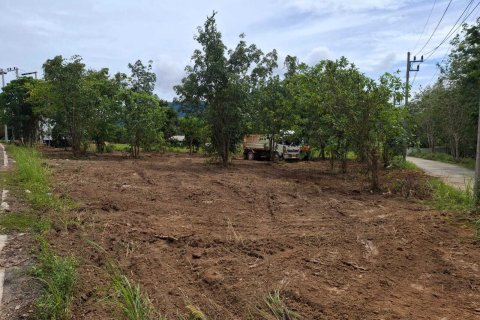 Земельный участок в Пхукете, Таиланд 1600м2 № 156887 - фото 3