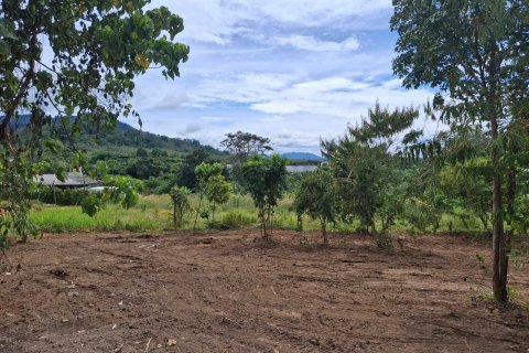 Земельный участок в Пхукете, Таиланд 1600м2  № 156887