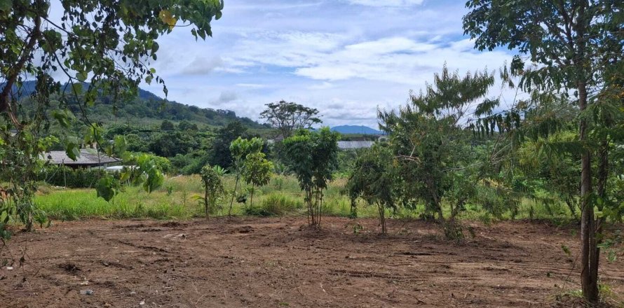 Земельный участок в Пхукете, Таиланд 1600м2 № 156887